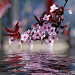 Фотопечать для шкафов